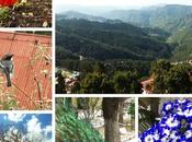 Places Shimla Must Visit