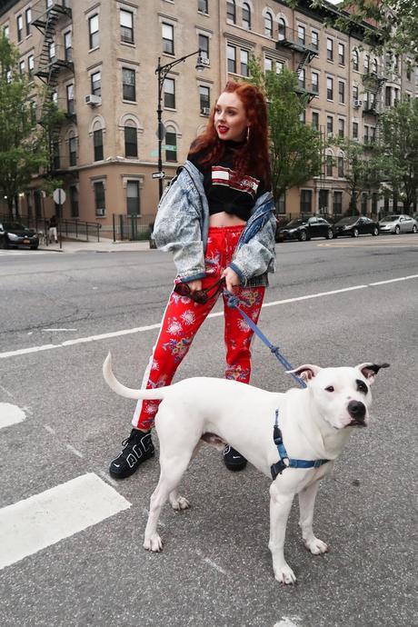 THESE JOGGERS ARE TO DIE FOR!! (feat. my new dog friend - Guapo)