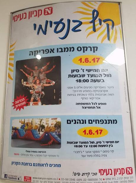 what are you doing Chol Hamoed Shvuos?