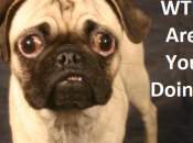 Gold’s Shames Kids