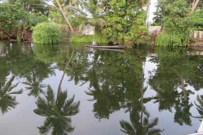 CYCLING THROUGH SOUTH INDIA, Part 4: Cruising the Backwaters in Kerala, Guest Post by Gretchen Woelfle