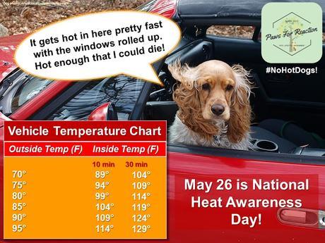 #NoHotDogs #Car #Temperature #HeatAdvisory for #Dogs #NationalHeatAwarenessDay #May26