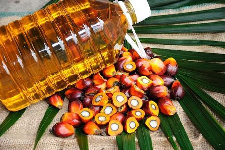 palm fruit and palm oil
