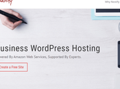 Nestify Review: Really Great WordPress Hosting? Read HERE