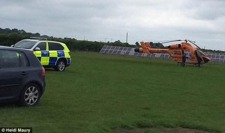 Tiger on the prowl ~ air ambulance to the rescue !!