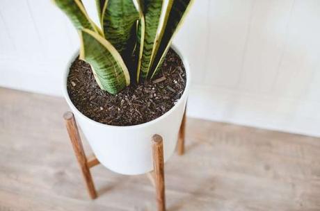 DIY Mid Century Modern Plant Stand for Indoor and Outdoor