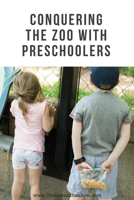 Kids and the zoo can be a real trip. No pun intended! Here are some ways to make sure you're conquering the zoo with preschoolers and enjoying it! 