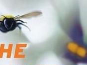 Teaser Tuesdays: Constant Gardener