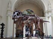 Welcome Jurassic World: Exhibit Opens Field Museum