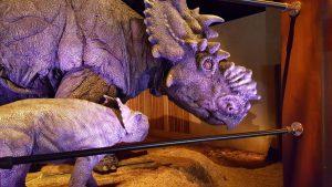 Welcome to Jurassic World: New Exhibit Opens at the Field Museum jurassic world exhibit field museum