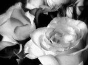 Self Able Within Ability