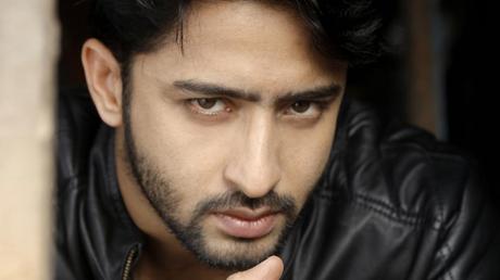 Interesting Facts About Shaheer Sheikh & Erica Fernandez of Kuch Rang Pyar Ke Aise Bhi