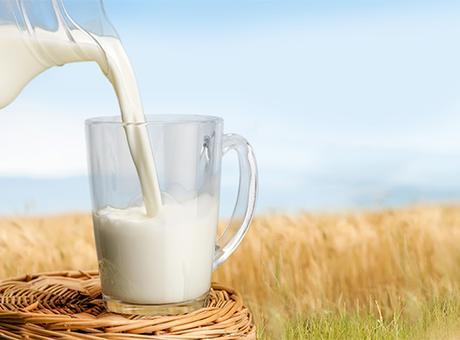 How can we assure the quality of milk: Care for Milk initiative!