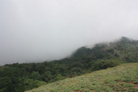 DAILY PHOTO: Misty Western Ghats
