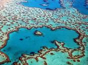 Great Barrier Reef Dead Million