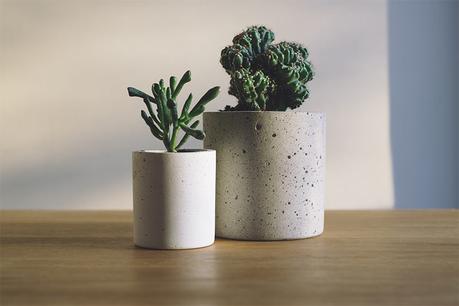 Why Add Artificial Plants to Your Garden?