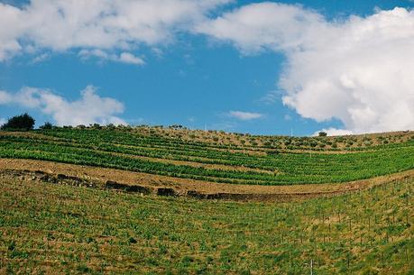 Douro Valley, Portugal