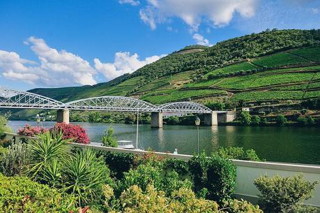 Ponte do Pinhão