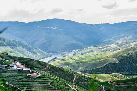 Douro Valley, Portugal