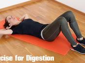 Exercise Digestion: Effects Digestive System