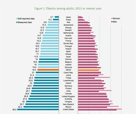 Twenty Percent of Adults Obese in OECD Countries