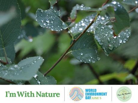 World Environment Day: Connecting people to nature June 5
