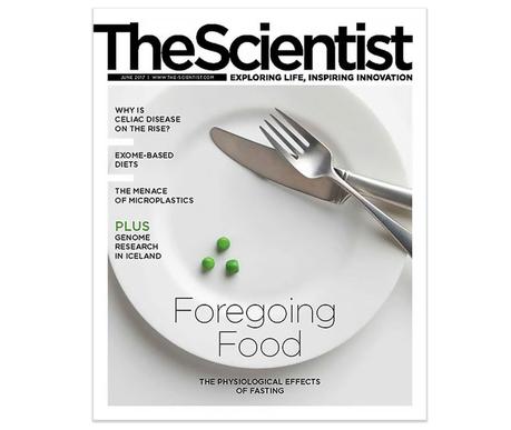 Intermittent Fasting Featured as Cover Story in ‘The Scientist’