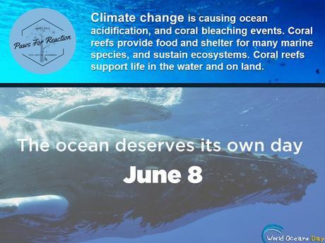 World Oceans Day June 8 pollution