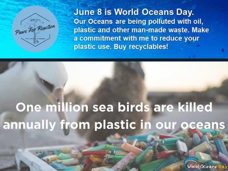World Oceans Day June 8 plastic pollution