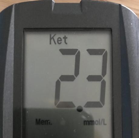 How Much Protein Can You Eat in Ketosis?