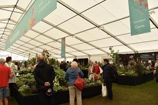 RHS Chatsworth - a new show for the Midlands