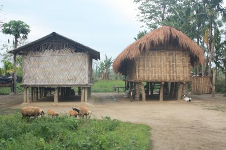 DAILY PHOTO: Rural Assamese Homestead
