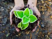 Surprising Myths About Green Living