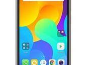 MicroMax Canvas Evok Note E453