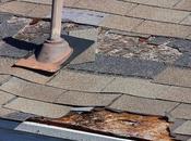 Factors That Affect Your Roof’s Overall Condition