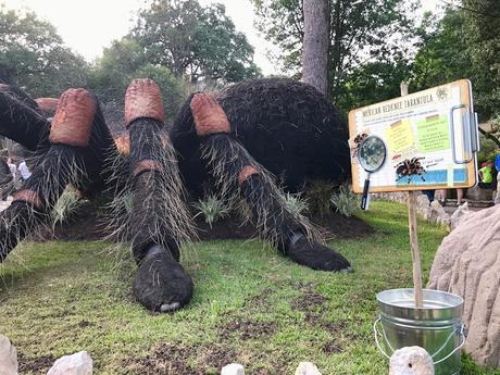 Bug Mania! and so much more at the San Antonio Zoo this Summer!