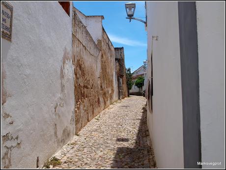 Tavira