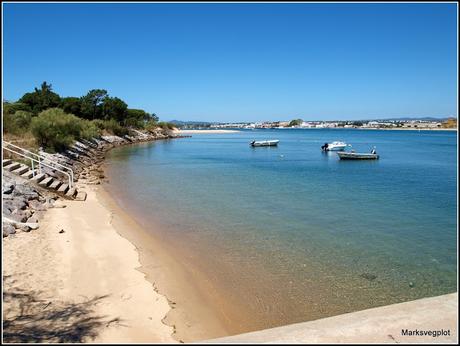 Tavira