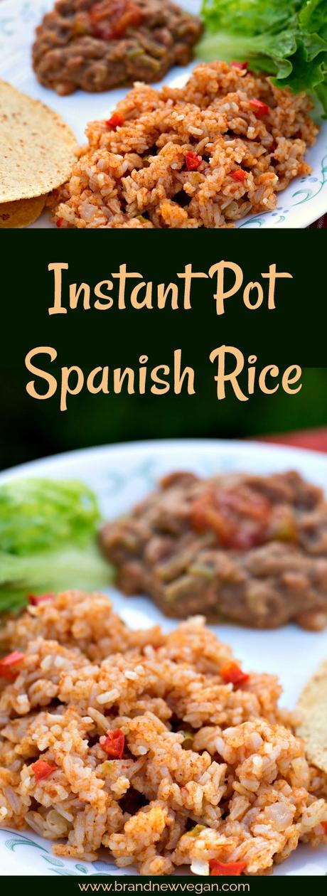 nstant pot spanish rice pin