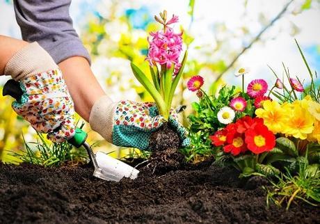 Key Tips On How To Start Your Backyard Landscaping By Yourself