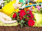 Tips Start Your Backyard Landscaping Yourself