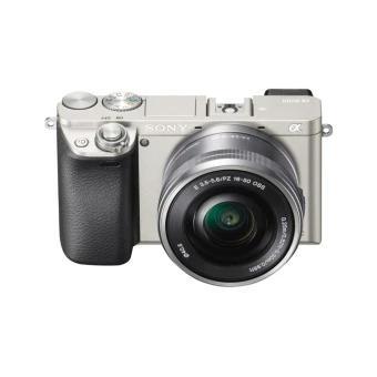 Excel Your Photography Experience Using These Mirror-less Camera!!!!!!! Excel Your Photography Experience Using These Mirror-less Camera!!!!!!!
