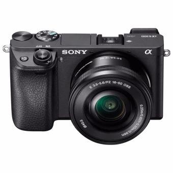 Excel Your Photography Experience Using These Mirror-less Camera!!!!!!! Excel Your Photography Experience Using These Mirror-less Camera!!!!!!!