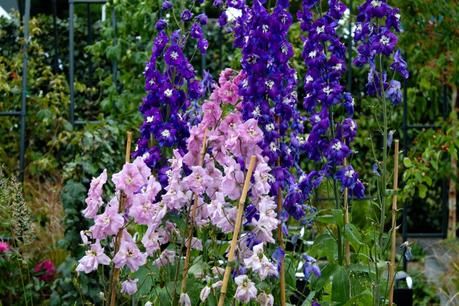 RHS Chatsworth Flower Show in Photos