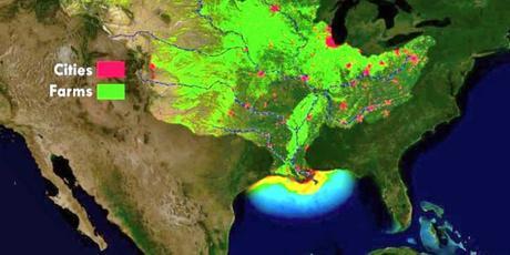 This Summer’s Gulf ‘Dead Zone’ Could Be Bigger Than Connecticut