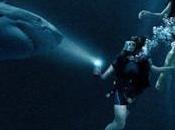 Meters Down (2017) Review