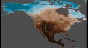 Climate Change Is Shrinking the Colorado River