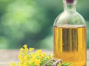 Benefits Replacing Saturated with Vegetable Oils? Absolutely None!