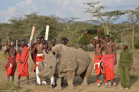 Champions Trophy finals loss ~  England plays Cricket at Laikipia - Maasai country