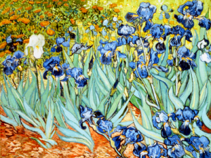 Irises by Vincent Van Gogh